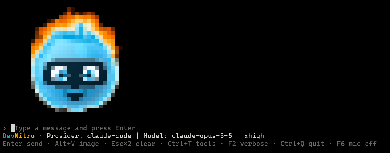 Ned, the DevNitro mascot, drawn in colored blocks above the DevNitro CLI prompt at startup