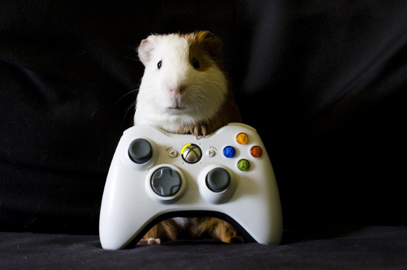 Introduction to Game Design: Start with Game Mechanics
